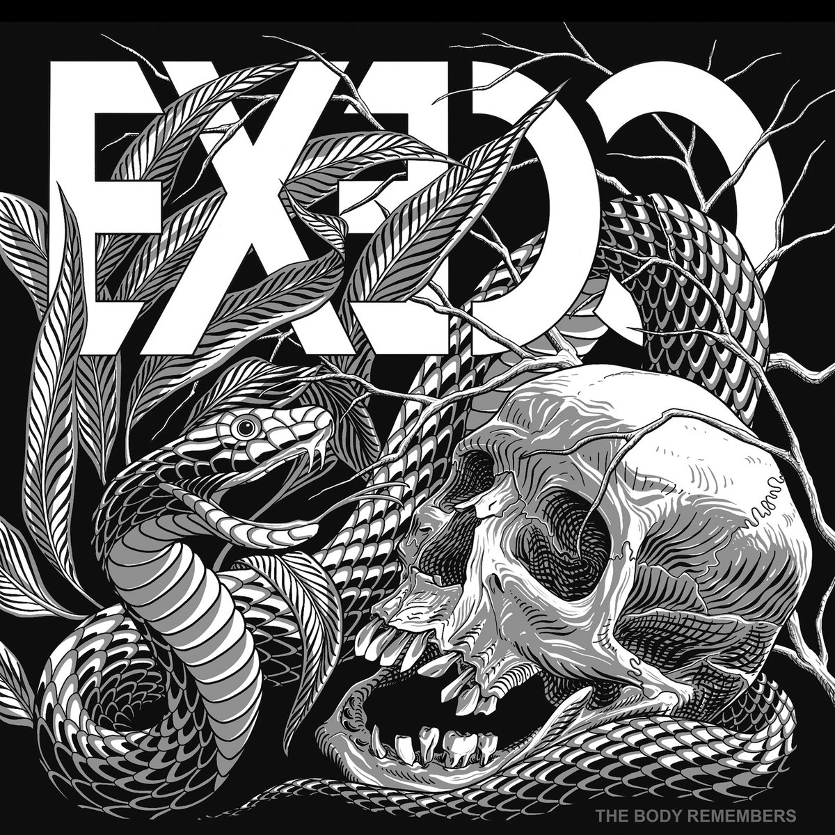 The Body Remembers | Exedo | Dirt Cult Records