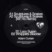 Love International Recordings — Adam Curtain - Sculptures & Snakes