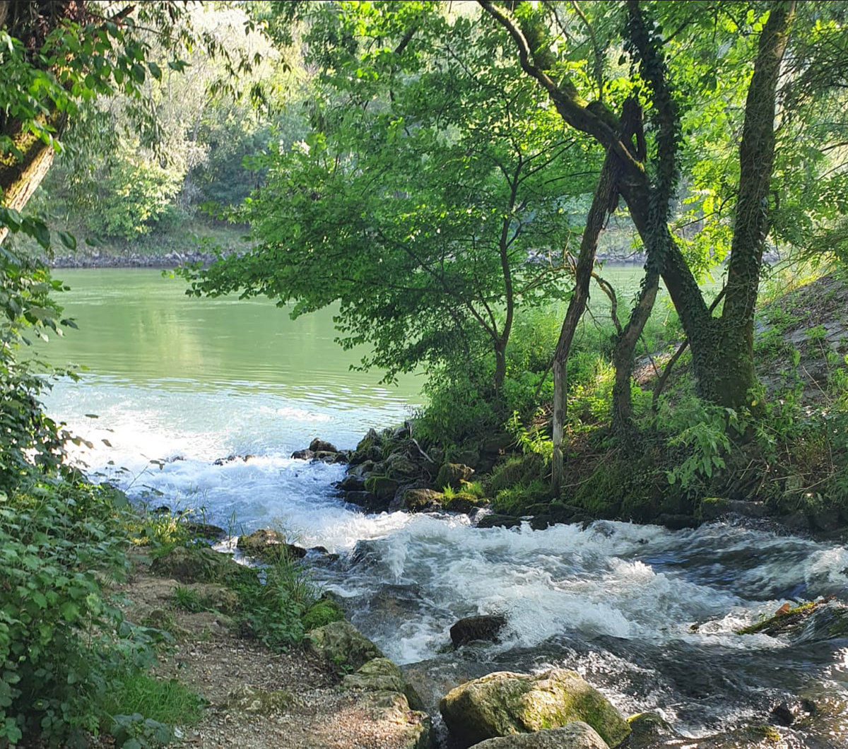 Nature 7 - long meditation