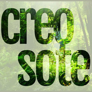 Creosote cover