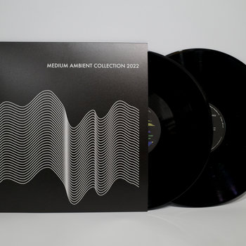 V.A. (MEDIUM) / MEDIUM AMBIENT COLLECTION 2022 BLACK [2LP