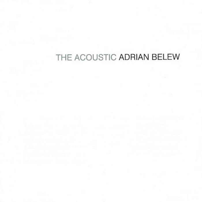 The Acoustic Adrian Belew | Adrian Belew