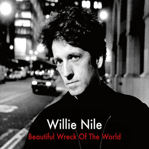 Beautiful Wreck Of The World (Remastered) cover