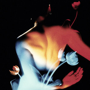 Still Life cover