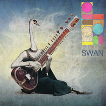 Swan cover art