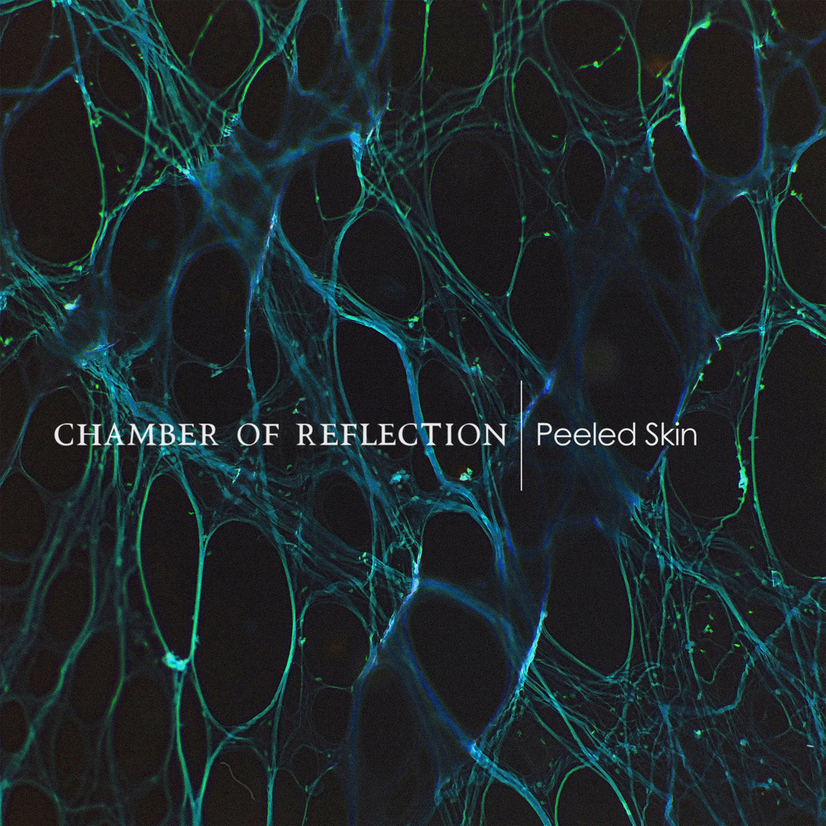 mac demarco chamber of reflection