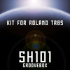 SH101 - Groovebox for Roland TR8S