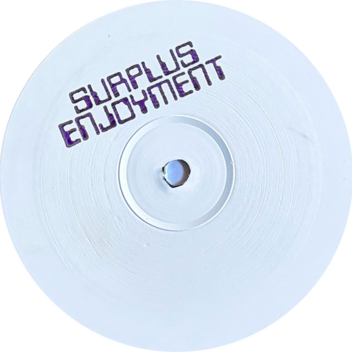 Pochette de SURPLUS ENJOYMENT 3 par DUCKBEATS