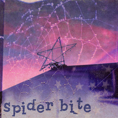 Spider Bite main photo