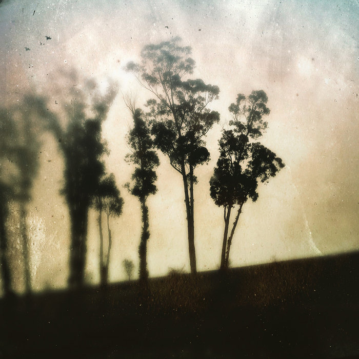 Loose Limbed EP William Ryan Fritch Loose Limbed EP William Ryan Fritch