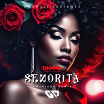 Senorita (Amapiano Remix) cover art