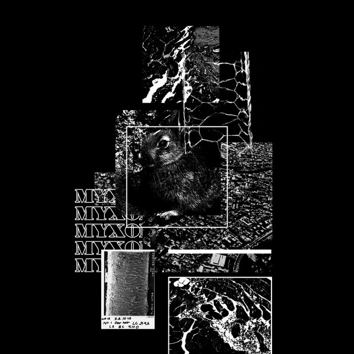 Just Like You Imagined Nine Inch Nails Myxomatosis