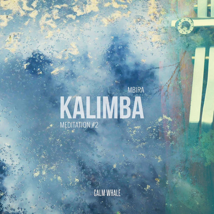 Beautiful Kalimba Meditation #2 | Calm Whale