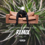 Skripture Made This REMIX (Vol.17)