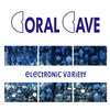 Electronic Variety Cover Art
