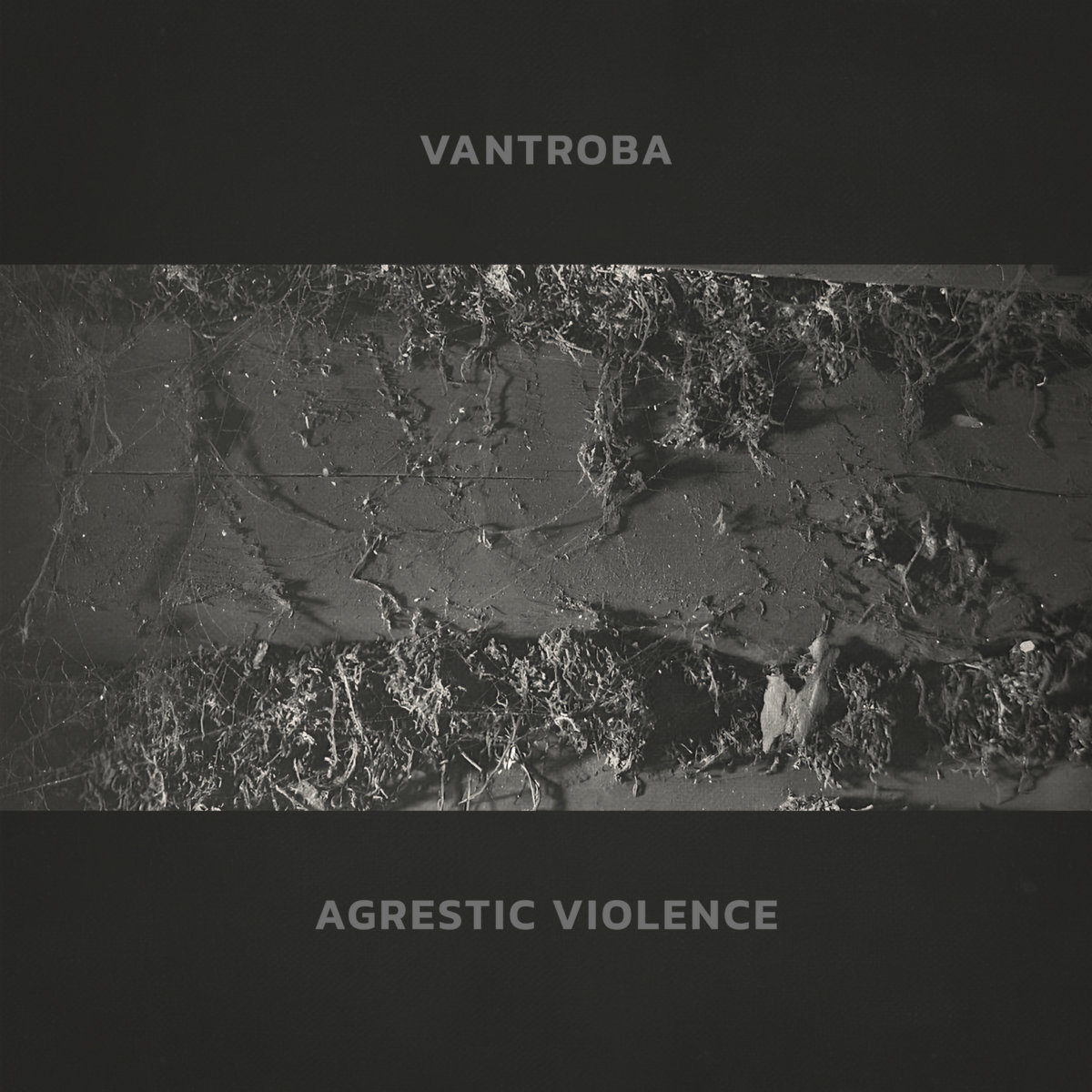 Agrestic Violence [EP] | Vantroba