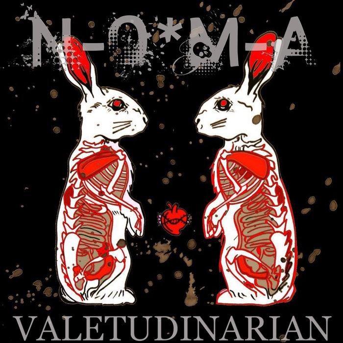 Valetudinarian 2014 N O M A