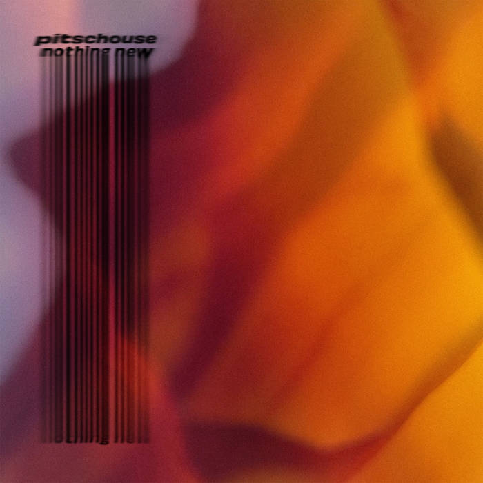 Nothing New | pitschouse | Den Tapes