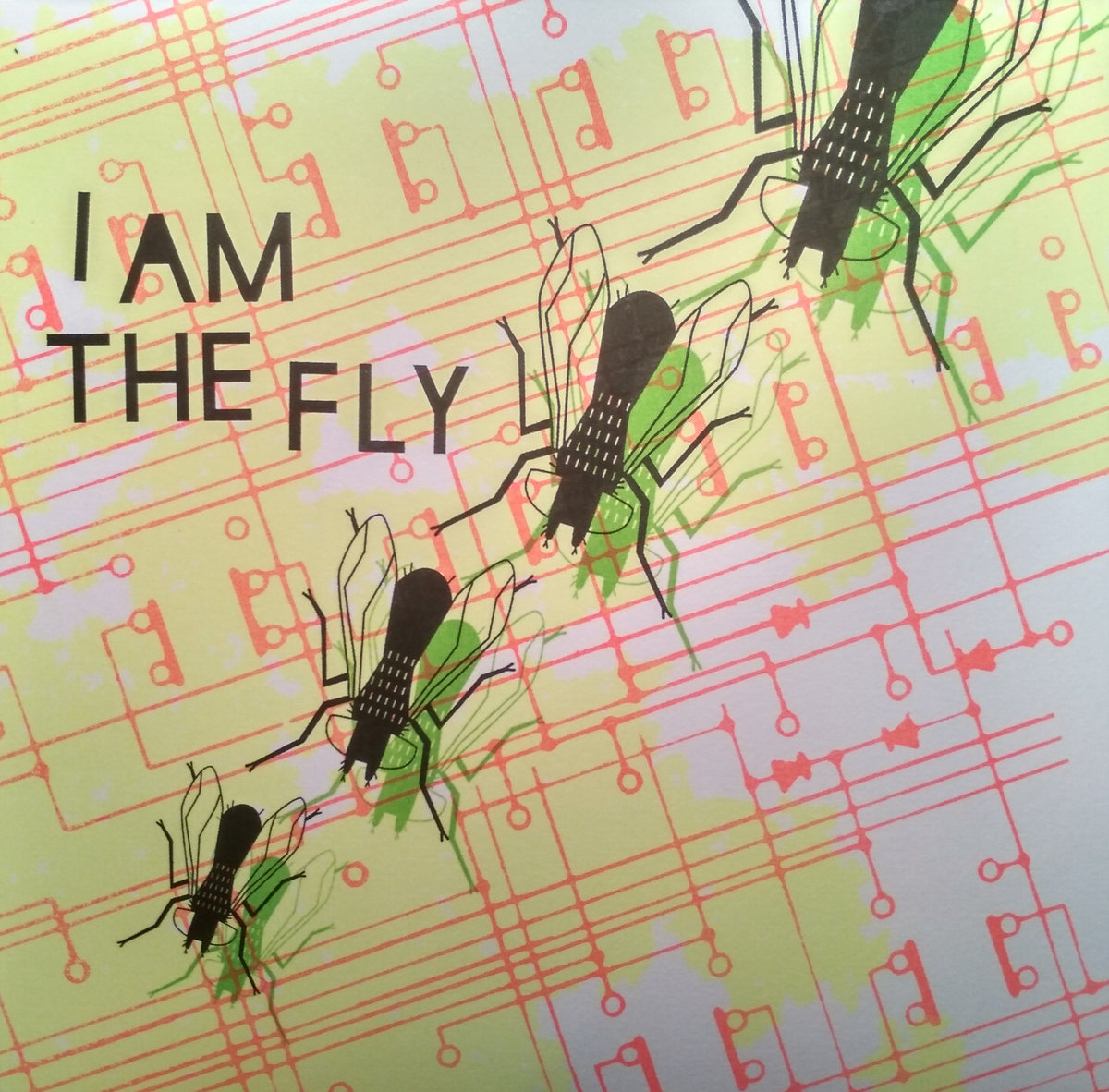 I Am The Fly | I Am The Fly