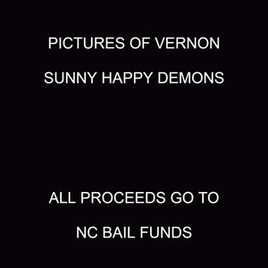 Pictures of Vernon — Sunny Happy Demons (alternate demo)