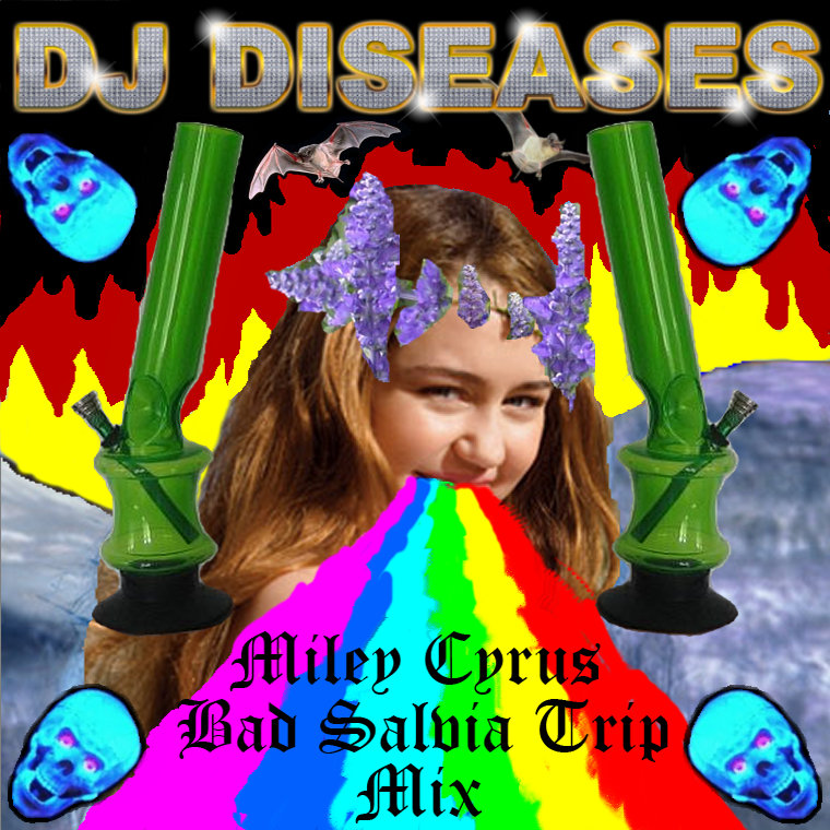 Miley Cyrus Bad Salvia Trip Mix DJ Diseases