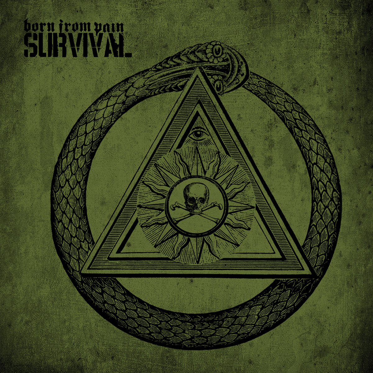 Survival | Born from Pain