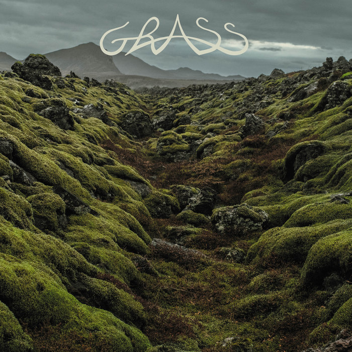 Grass | Grass