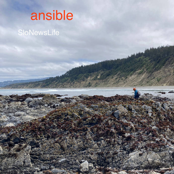 SloNewsLife - ansible album artwork