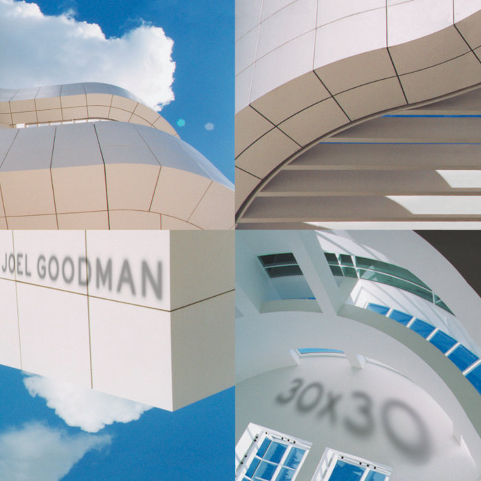 Fixing the Model Joel Goodman