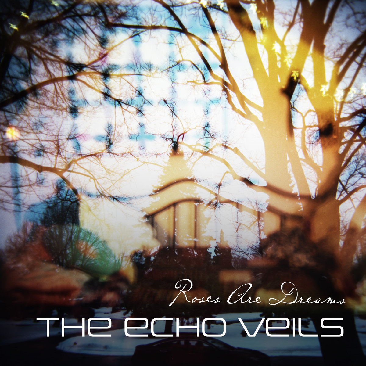 Roses Are Dreams | The Echo Veils