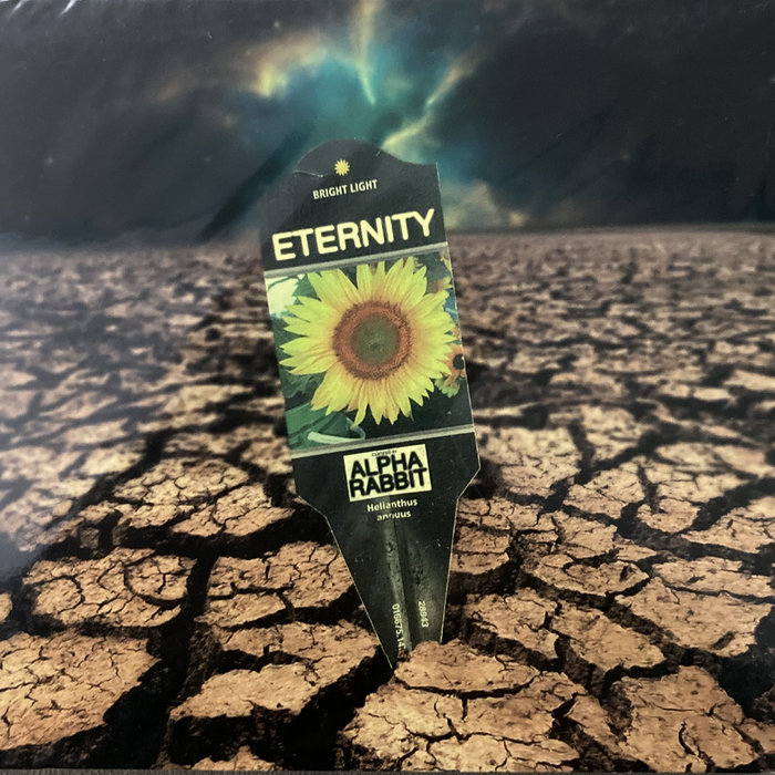 Eternity | Alpha Rabbit