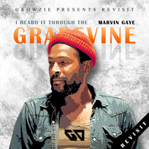 I Heard It Through The Grapevine (Revisit) cover art