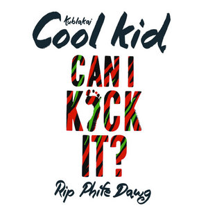 Cool Kid (Can I Kick It?) cover