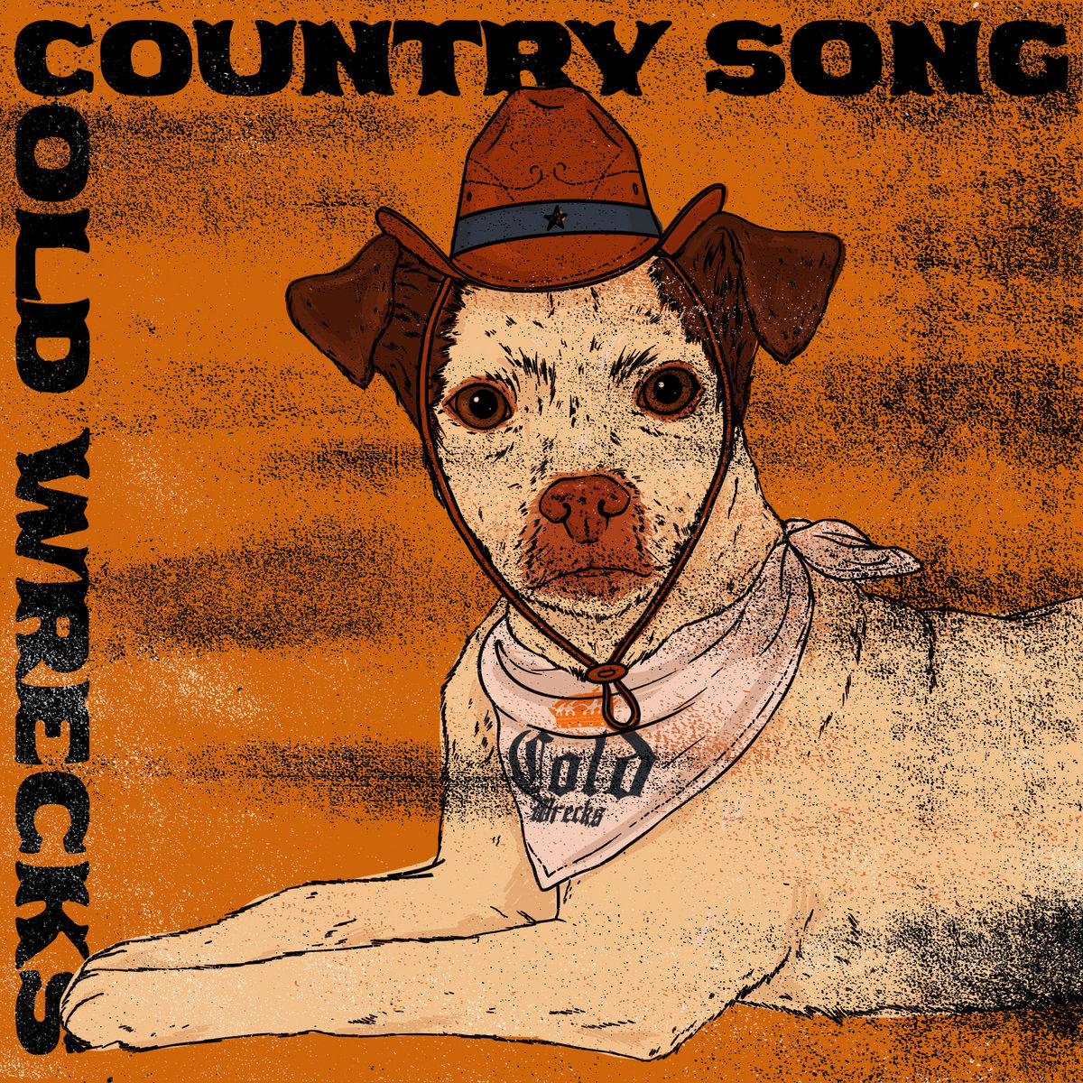 Country Song Cold Wrecks