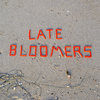 Late Bloomers Cover Art