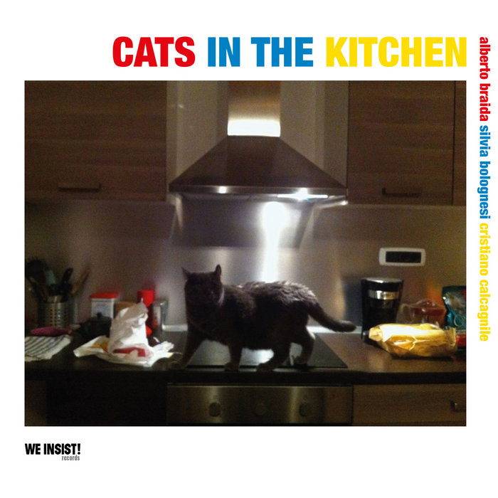 cats in the kitchen