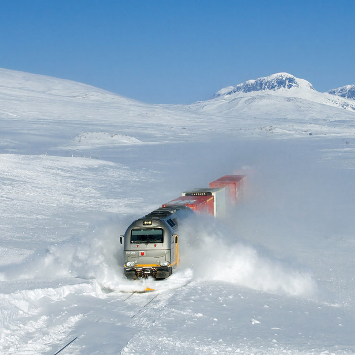 Snow | LME303 | Wikimedia Commons