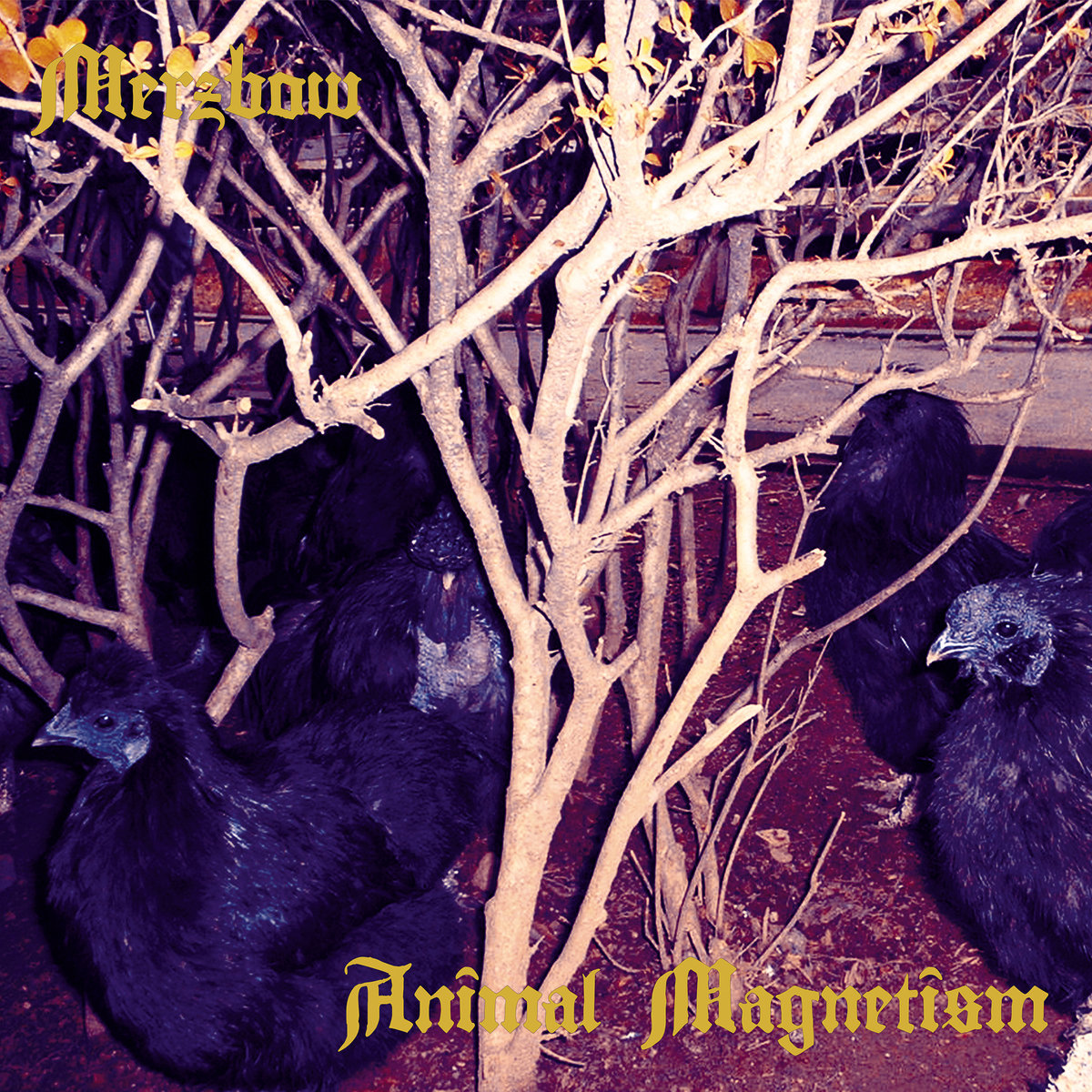 Merzbow – 24 Hours - A Day Of Seals Merzbow - 24 Hours: A Day of Seals - Reviews - Album of The Year