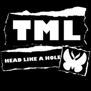 Head Like A Hole cover