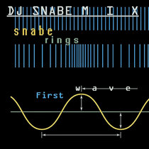 First Wave (DJ Snabe Mix) cover art