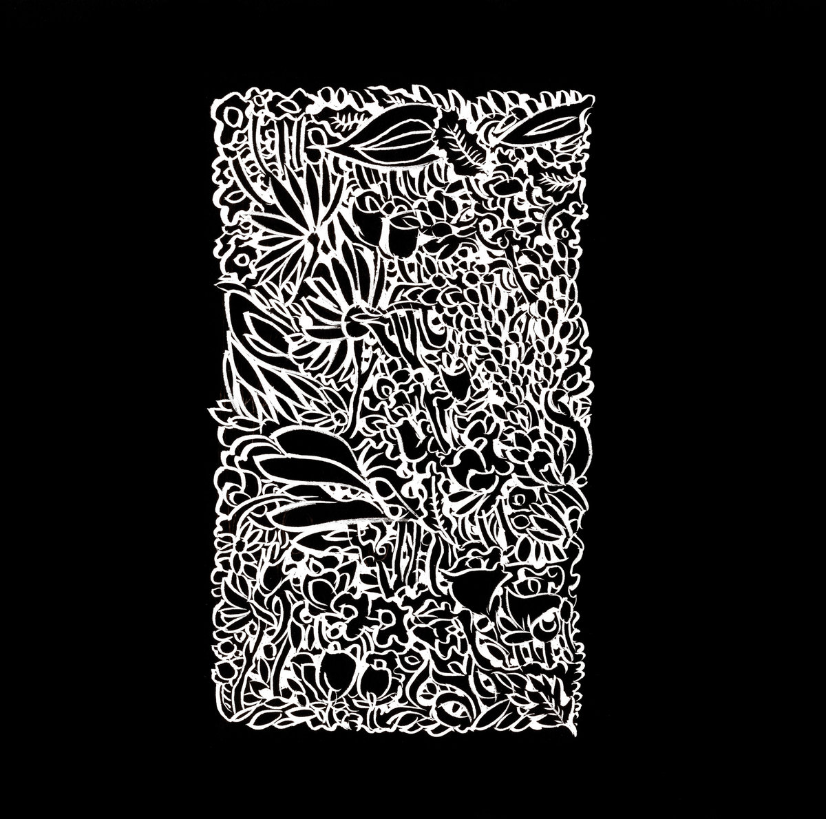 Mysterious Forest ron Parks