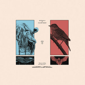 faces of the moving year split cover