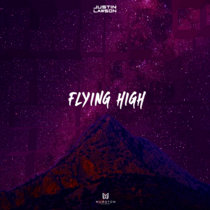 Flying high cover art