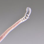 Hedonic Setpoint V