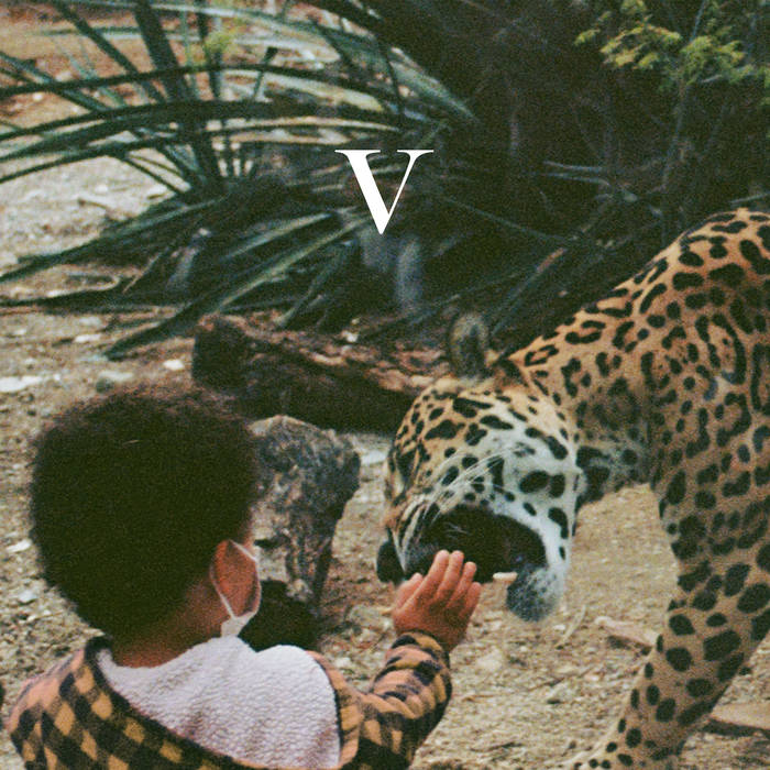 V | Unknown Mortal Orchestra