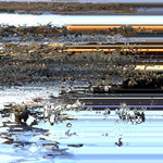 Will the Great Water Remember: Present