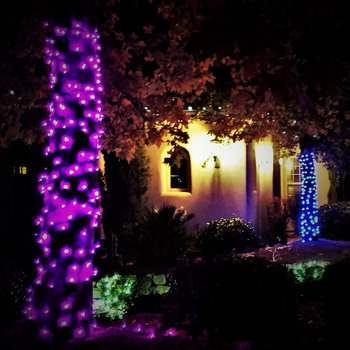 This'll Be The Last Time