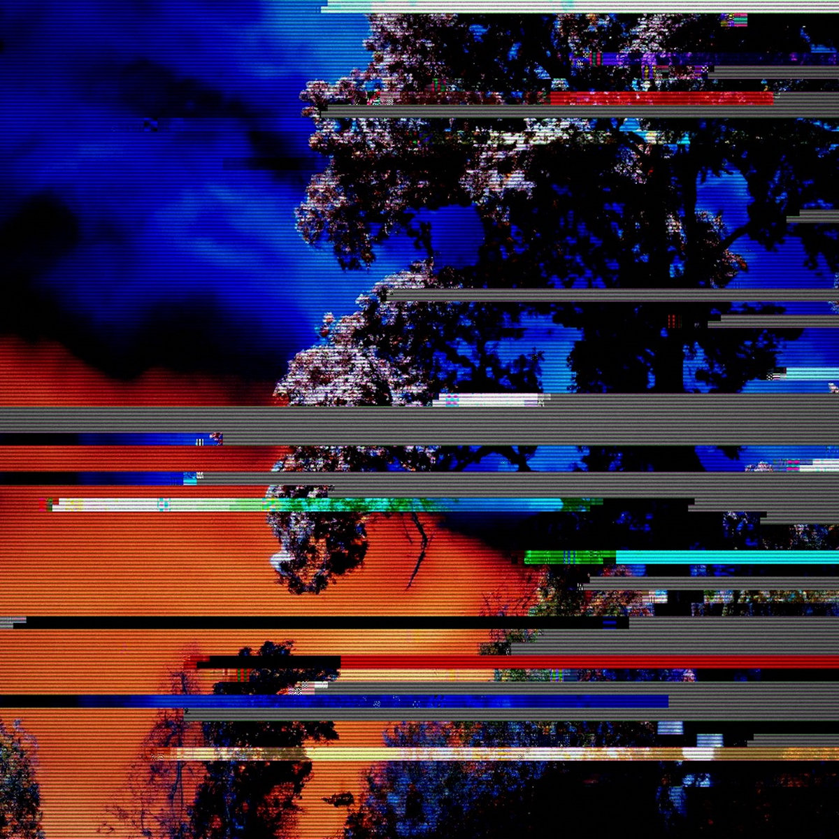 Forest Fires