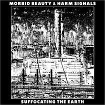 MB8 - Split with Harm Signals cover art