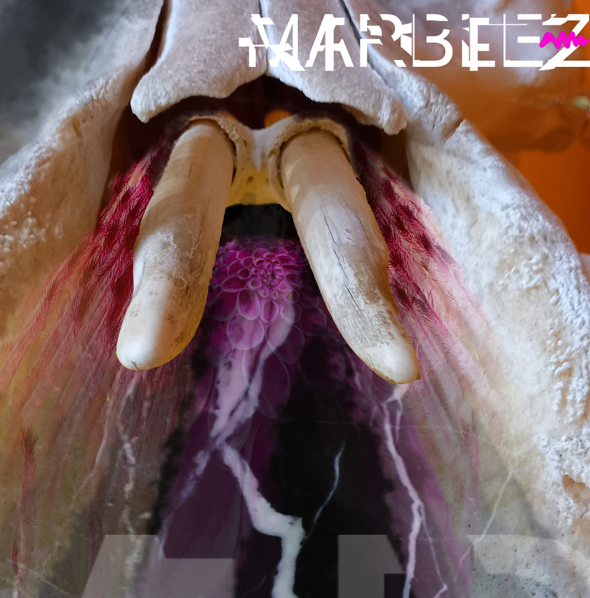 MARBLEZ cover